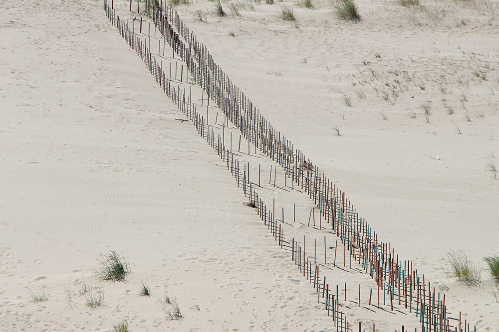 Smėlio gaudyklės Nidoje. Ričardo Šileikos nuotrauka