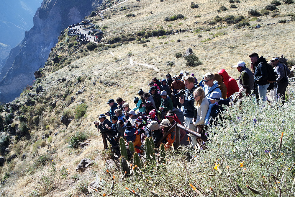 Giliausiame Kolkos kanjone (Peru) turistai laukia pasirodant kondoro. Neringos Butnoriūtės nuotraukos