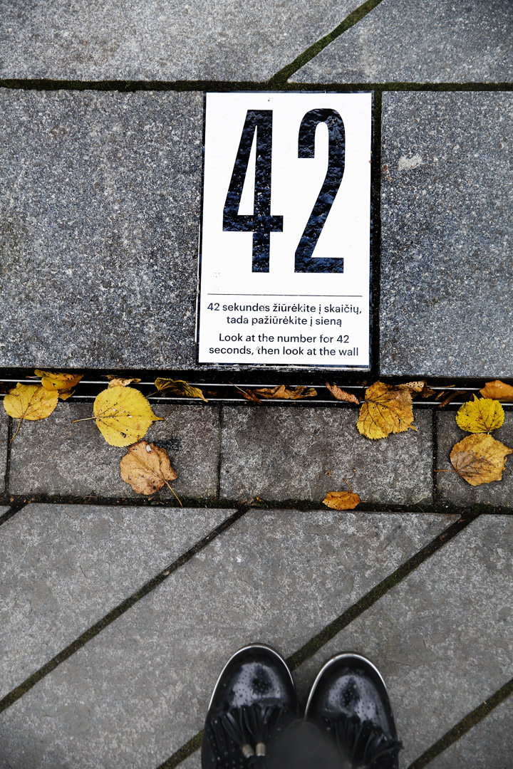 Eglė Paulina Pukytė. „29=42. Povaizdžio atmetimas“. Paminklas Janui Zwartendijkui (detalė). Svetlanos Baturos nuotrauka