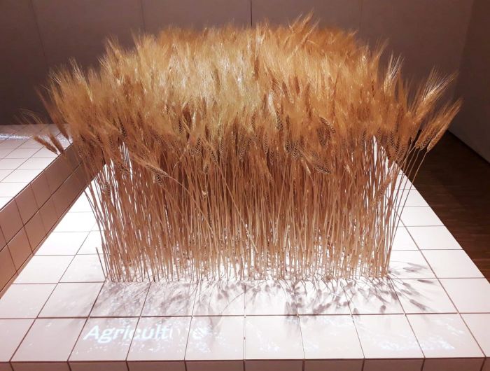 Tomos Gudelytės nuotrauka iš XXII Milano trienalės parodos „Pažeista gamta: dizainas imasi spręsti žmonijos išlikimą“ ekspozicijos